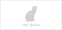 Тумба консоль "Хилл" белая Шагрень/белый